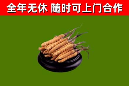 湘乡烟酒回收冬虫夏草.jpg