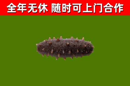 湘乡烟酒回收干海参.jpg
